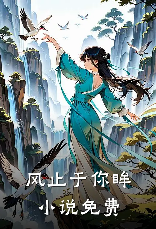 风止于你眸小说免费
