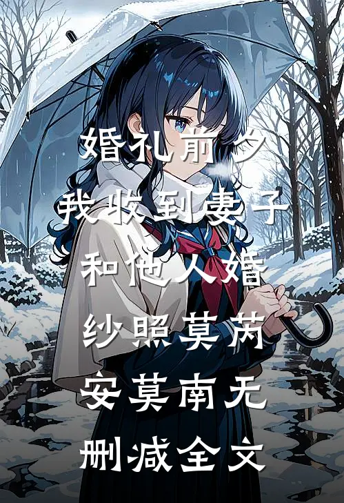 婚礼前夕，我收到妻子和他人婚纱照莫芮安莫南无删减全文