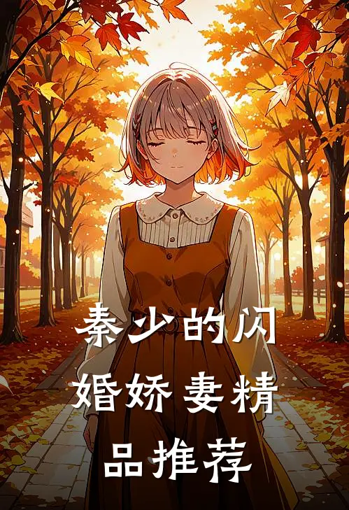 秦少的闪婚娇妻精品推荐