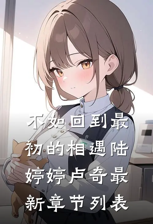 不如回到最初的相遇陆婷婷卢奇最新章节列表