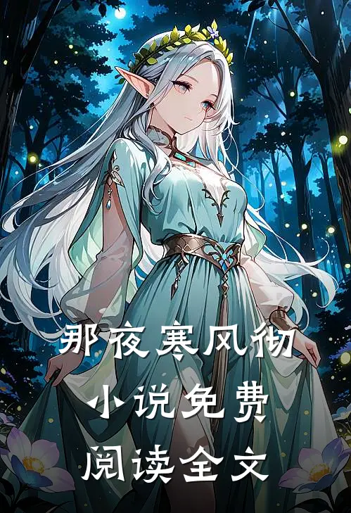 那夜寒风彻小说免费阅读全文