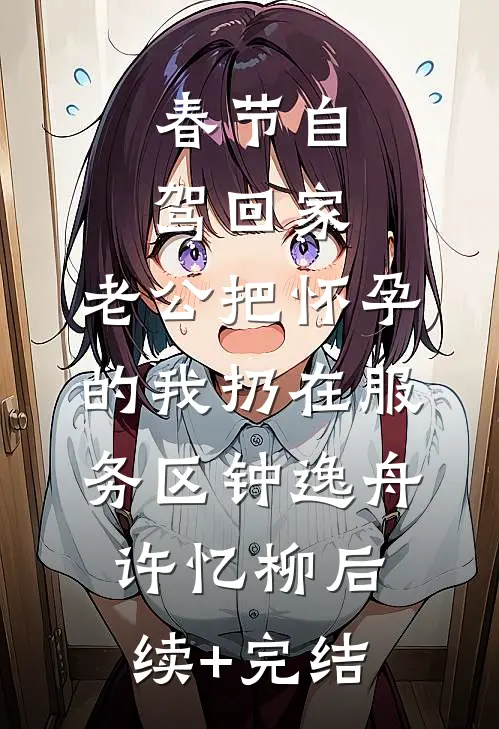 春节自驾回家，老公把怀孕的我扔在服务区钟逸舟许忆柳后续+完结