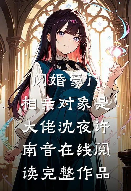 闪婚豪门:相亲对象是大佬(沈夜许南音)在线阅读完整作品