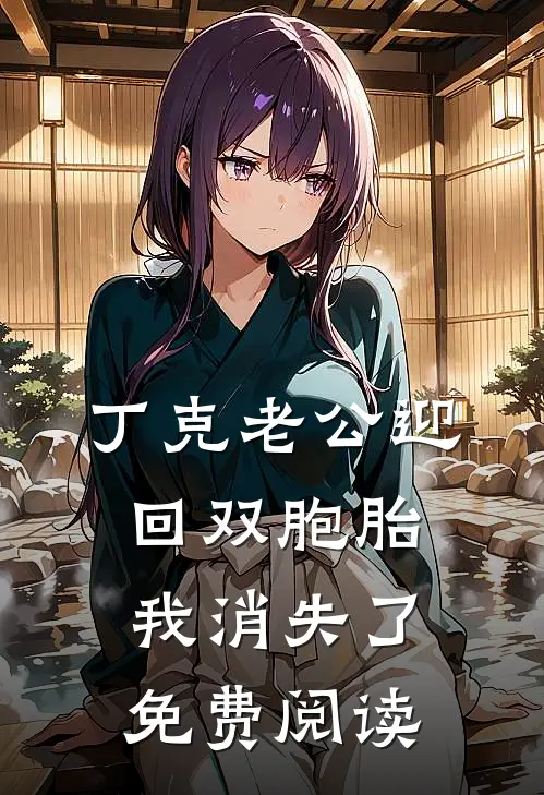 丁克老公迎回双胞胎，我消失了免费阅读