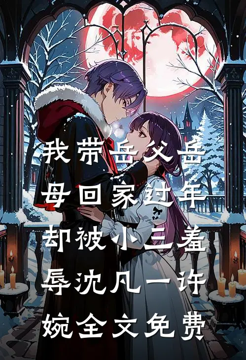 我带岳父岳母回家过年，却被小三羞辱沈凡一许婉全文免费