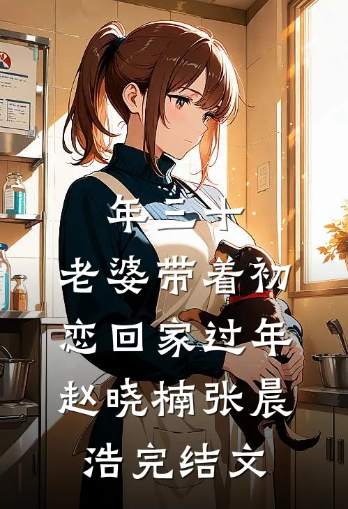 年三十，老婆带着初恋回家过年赵晓楠张晨浩完结文