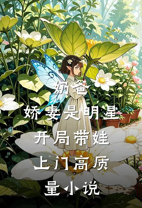 奶爸：娇妻是明星，开局带娃上门高质量小说