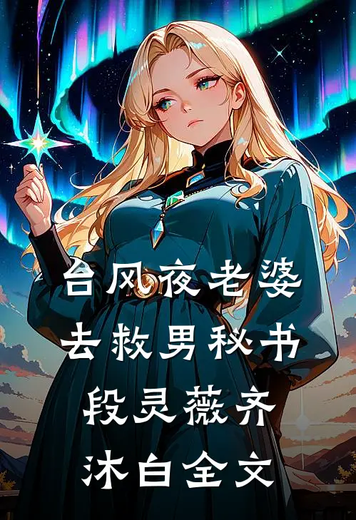 台风夜老婆去救男秘书段灵薇齐沐白全文
