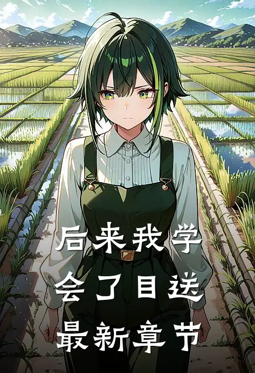 后来我学会了目送最新章节