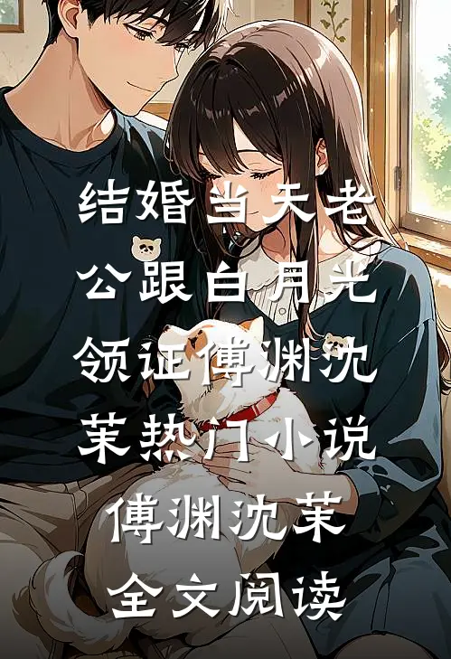 结婚当天老公跟白月光领证傅渊沈茉热门小说（傅渊沈茉）全文阅读