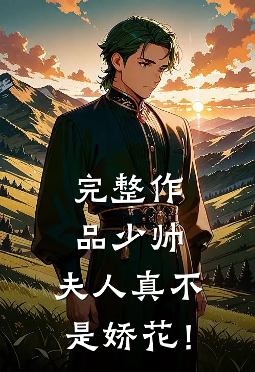 完整作品少帅，夫人真不是娇花！