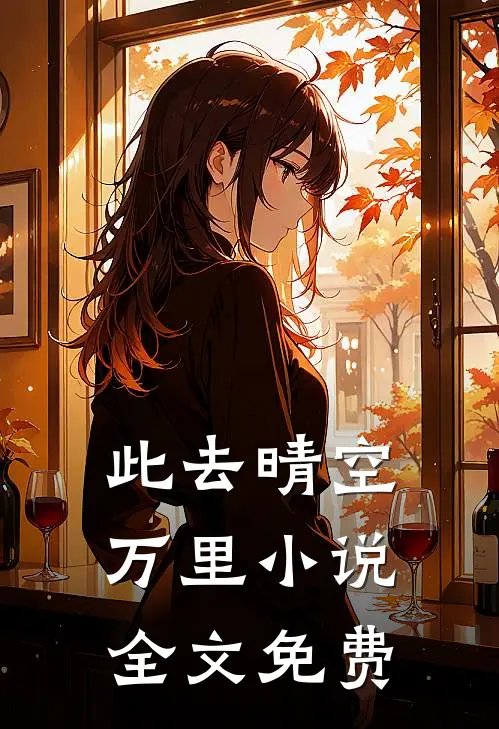 此去晴空万里小说全文免费