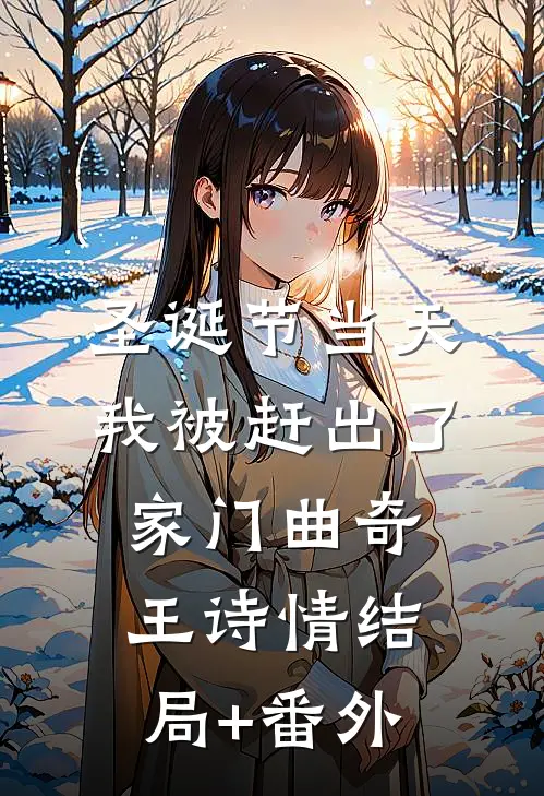 圣诞节当天，我被赶出了家门曲奇王诗情结局+番外