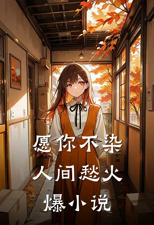 愿你不染人间愁火爆小说