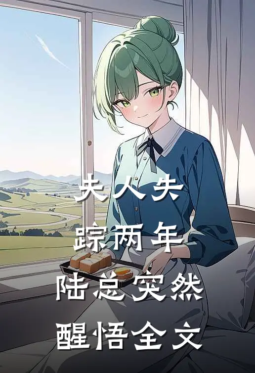 夫人失踪两年，陆总突然醒悟全文
