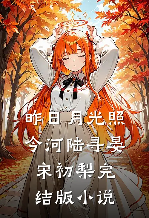 昨日月光照今河陆寻晏宋初梨完结版小说