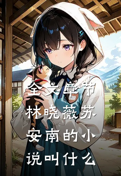 全文章节林晓薇苏安南的小说叫什么