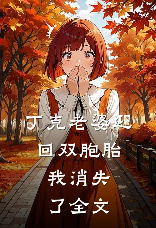丁克老婆迎回双胞胎，我消失了全文