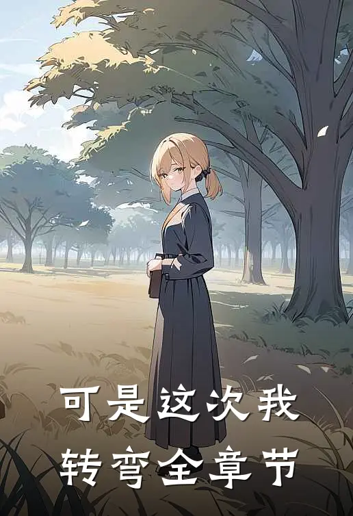 可是这次我转弯全章节
