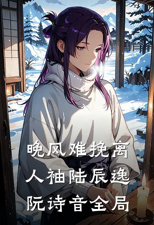 晚风难挽离人袖陆辰逸阮诗音全局
