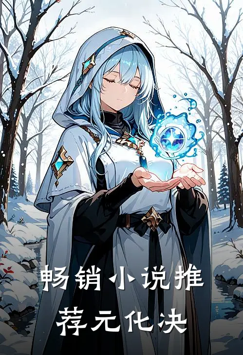 畅销小说推荐元化决