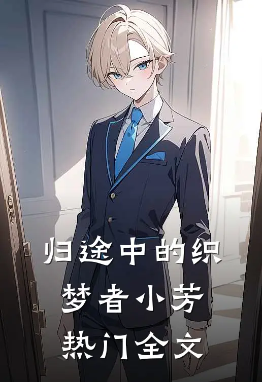 归途中的织梦者小芳热门全文