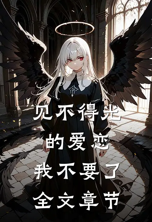 见不得光的爱恋，我不要了全文章节