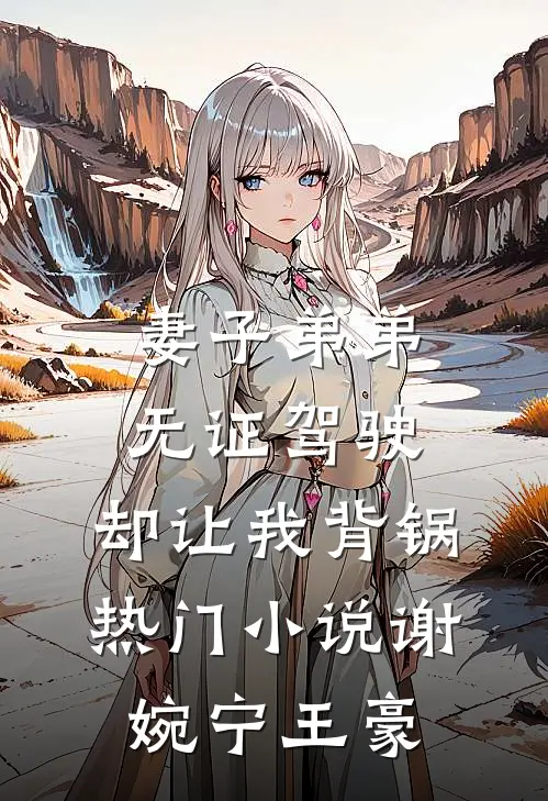 妻子弟弟无证驾驶，却让我背锅热门小说谢婉宁王豪