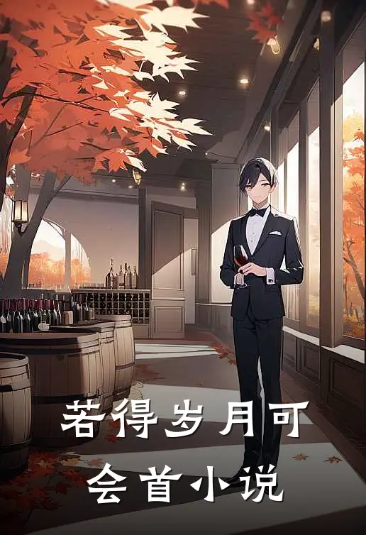 若得岁月可会首小说