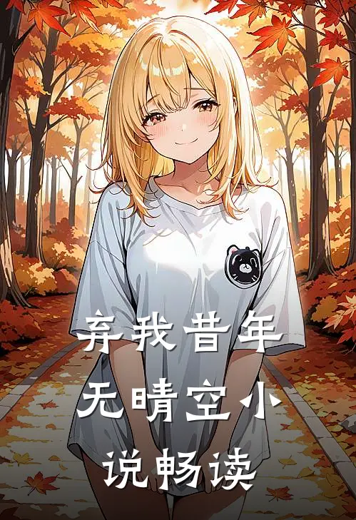 弃我昔年无晴空小说畅读