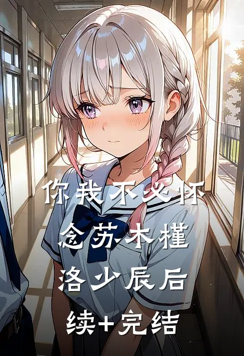 你我不必怀念苏木槿洛少辰后续+完结