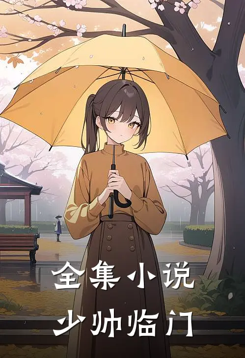 全集小说少帅临门