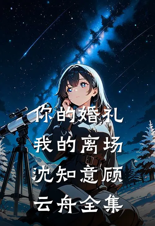 你的婚礼，我的离场沈知意顾云舟全集