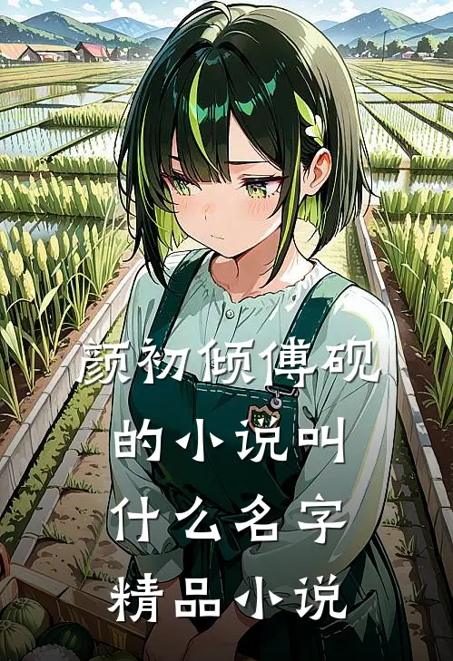 颜初倾傅砚的小说叫什么名字精品小说