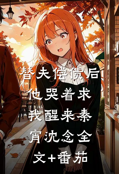 替夫偿债后他哭着求我醒来秦宵沈念全文+番茄