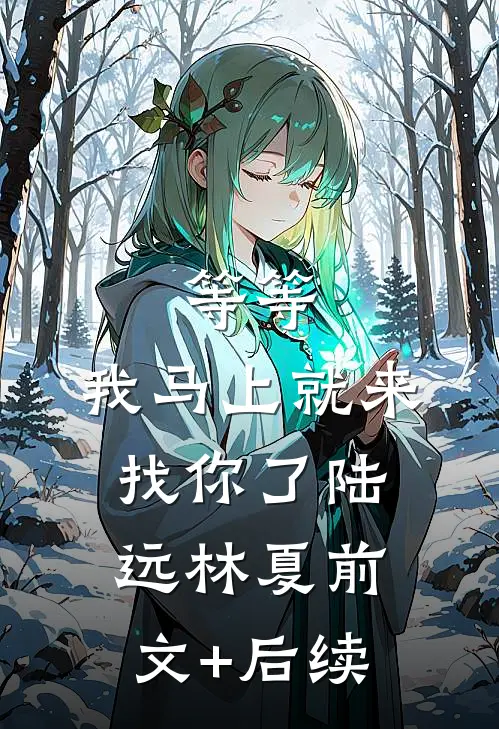 等等，我马上就来找你了陆远林夏前文+后续