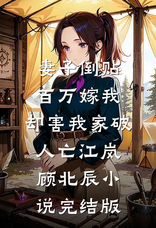 妻子倒贴百万嫁我，却害我家破人亡江岚顾北辰小说完结版