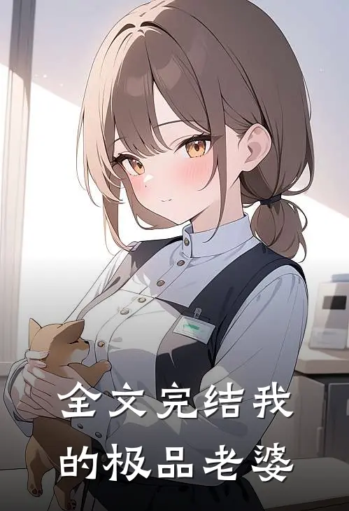 全文完结我的极品老婆