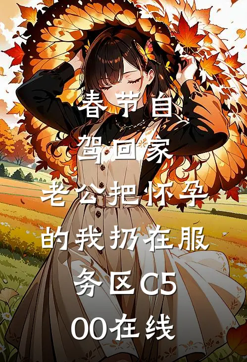 春节自驾回家，老公把怀孕的我扔在服务区C500在线
