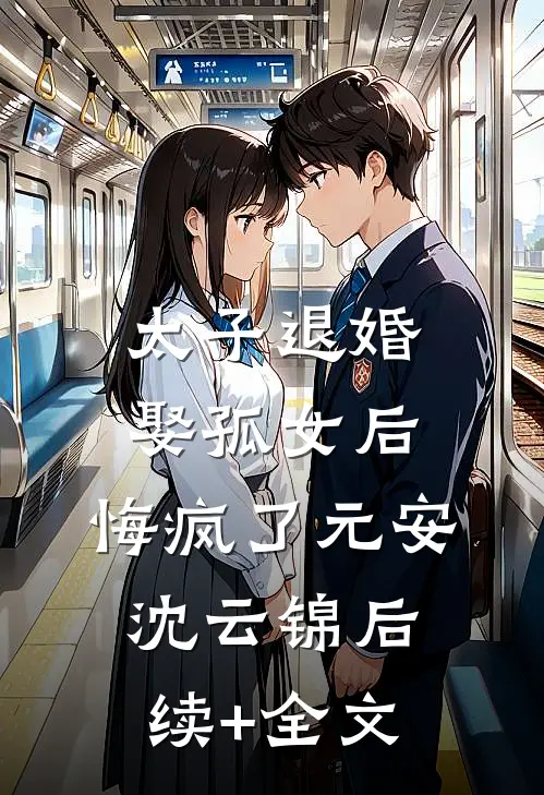 太子退婚娶孤女后，悔疯了元安沈云锦后续+全文