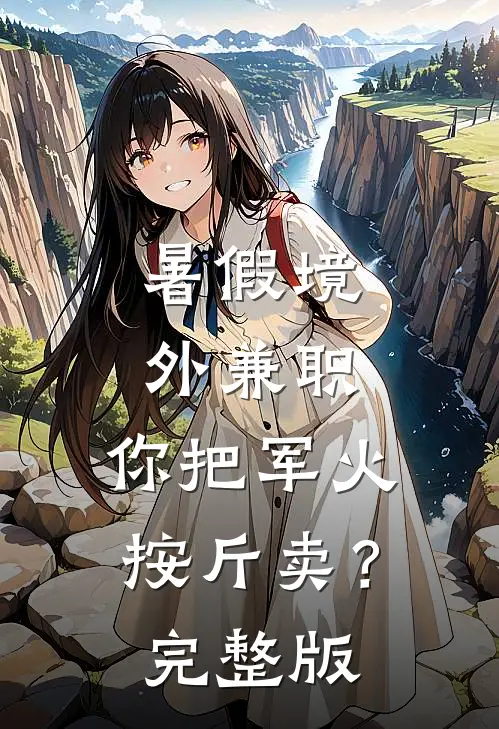暑假境外兼职，你把军火按斤卖？完整版