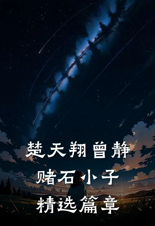楚天翔曾静赌石小子精选篇章