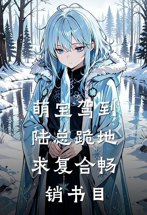 萌宝驾到，陆总跪地求复合畅销书目