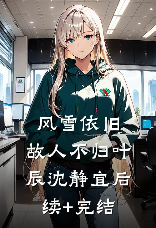 风雪依旧，故人不归叶辰沈静宜后续+完结