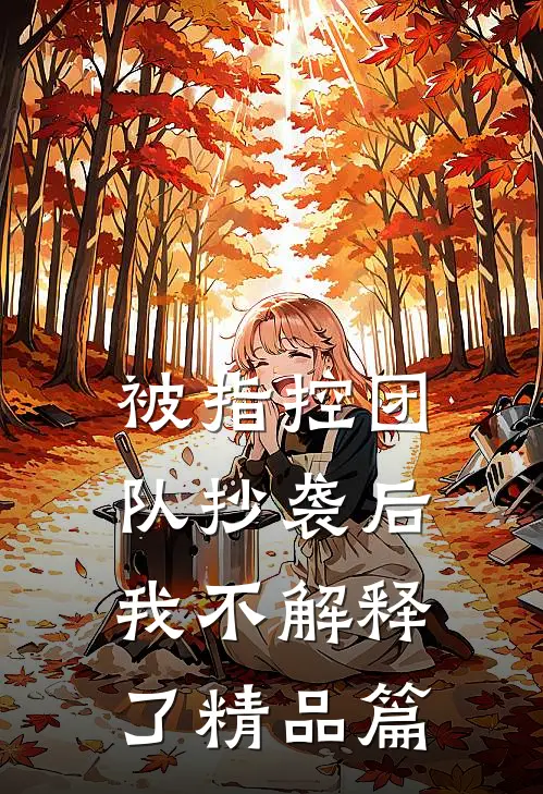 被指控团队抄袭后，我不解释了精品篇