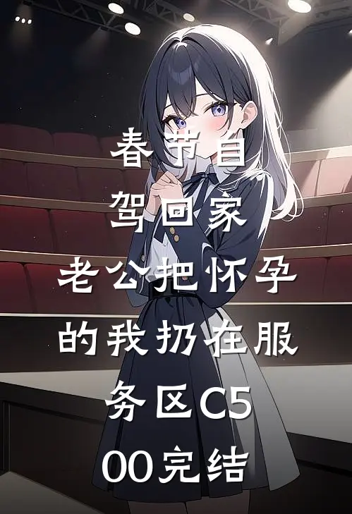 春节自驾回家，老公把怀孕的我扔在服务区C500完结