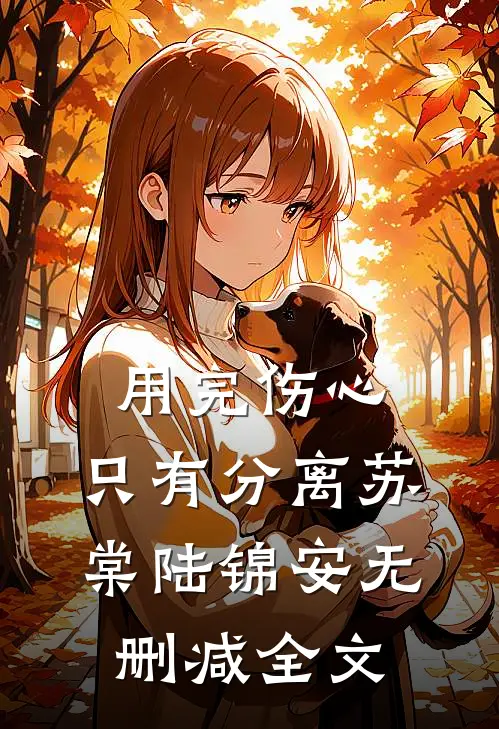 用完伤心，只有分离苏棠陆锦安无删减全文