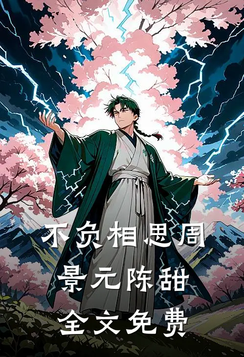 不负相思周景元陈甜全文免费
