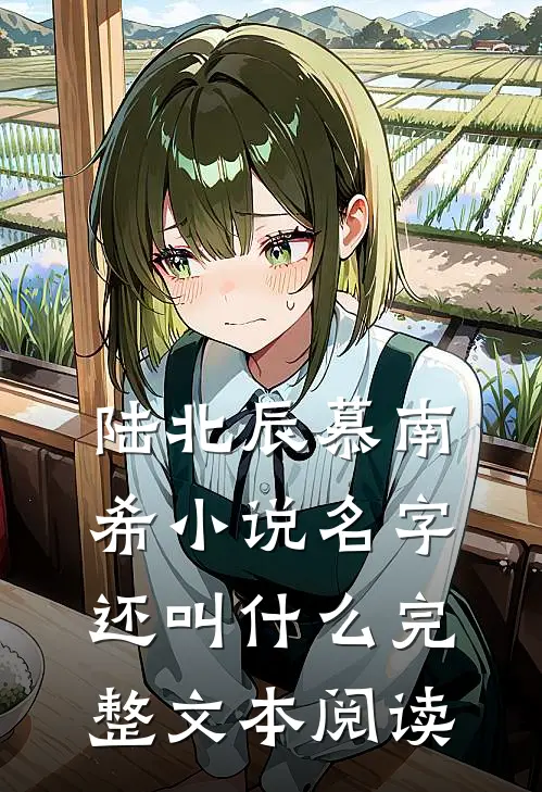 陆北辰慕南希小说名字还叫什么完整文本阅读