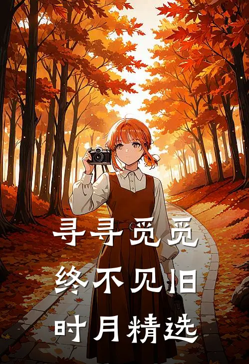 寻寻觅觅，终不见旧时月精选